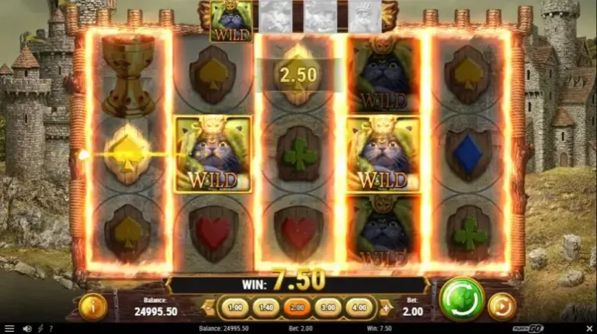 Feline Fury slot screenshot 
