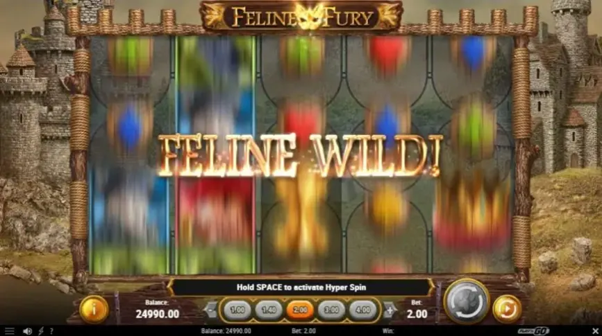Feline Fury slot screenshot 2