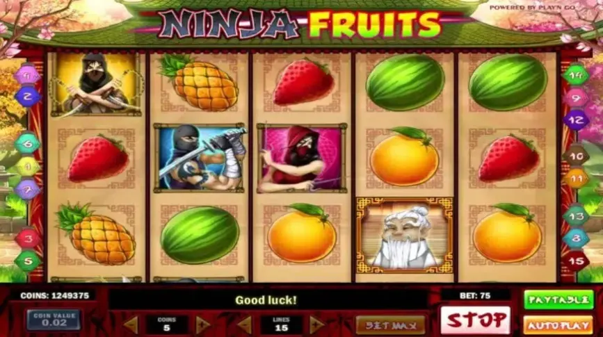 Ninja Fruits slot screenshot 
