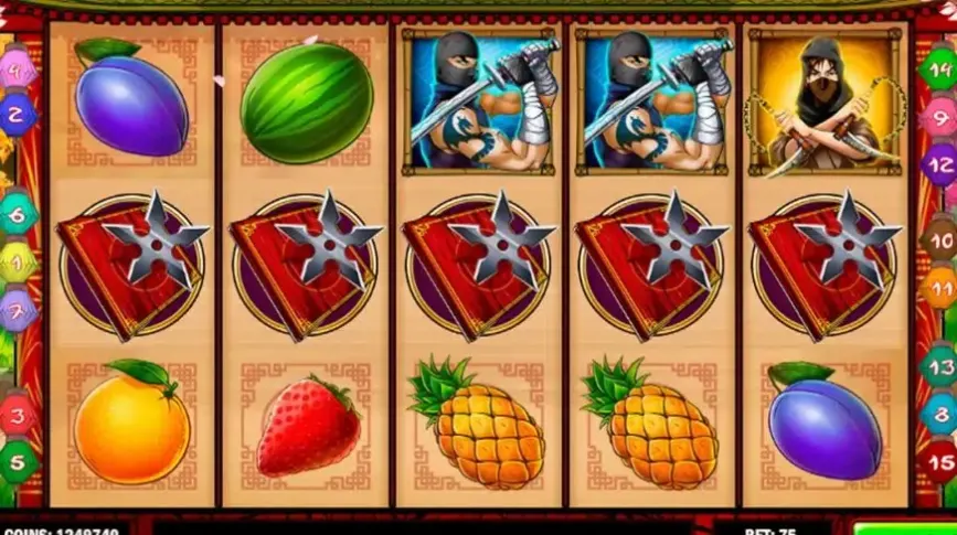 Ninja Fruits slot screenshot 