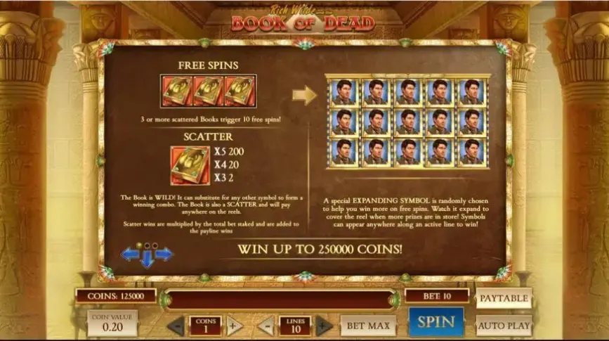 Rich Wilde and the Book of Dead slot screenshot 