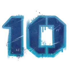icon 10